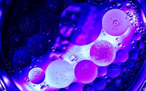 Preview wallpaper circles, bubbles, purple, macro