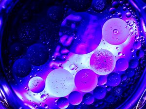 Preview wallpaper circles, bubbles, purple, macro