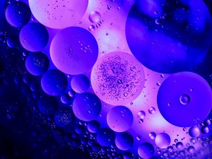 Preview wallpaper circles, bubbles, purple, macro, shape, dark