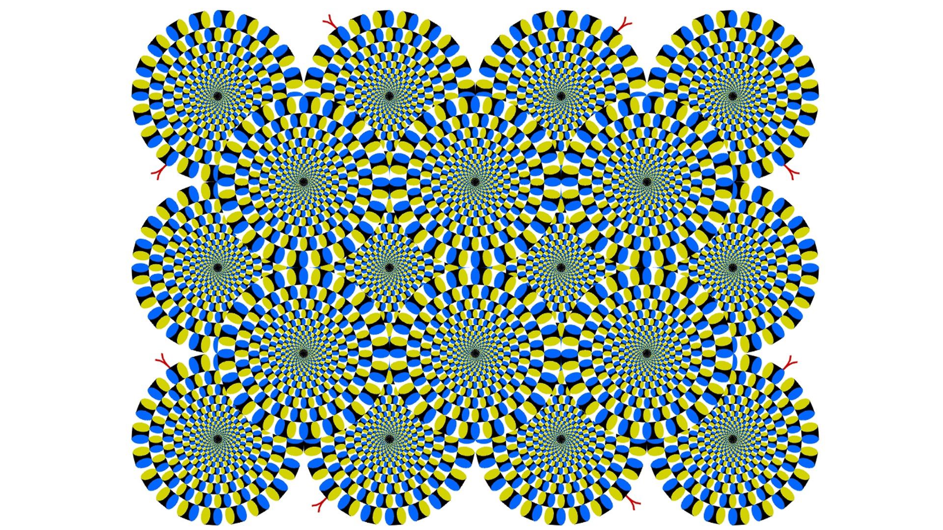 1920x1080 Wallpaper circles, rotations, lines, background, optical illusion.
