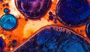 Preview wallpaper circles, shapes, sparkles, colorful, abstraction