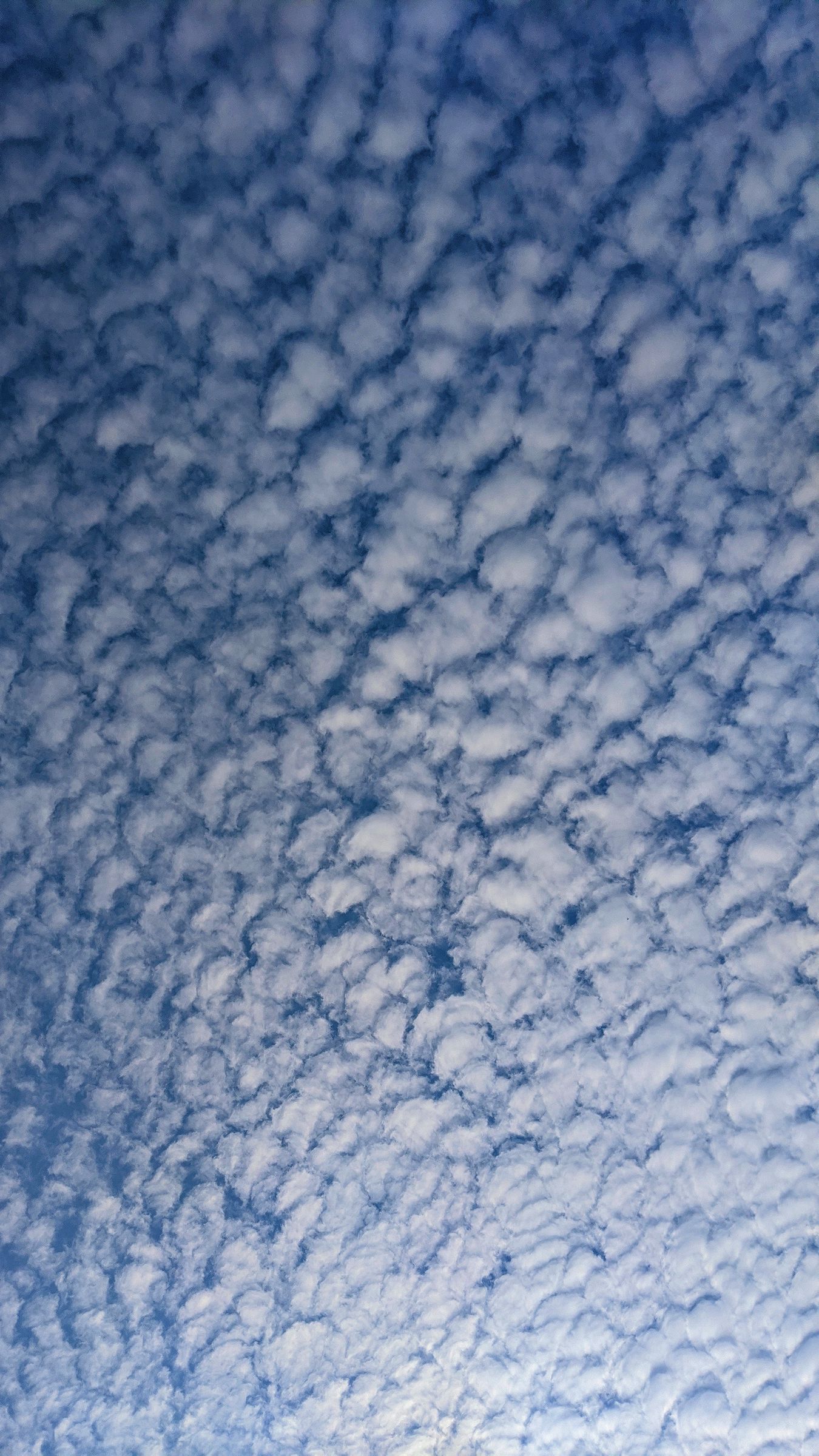 Download wallpaper 1350x2400 cirrus clouds, sky, clouds iphone 8+/7+/6s ...