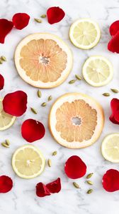 Preview wallpaper citrus, slices, fruits, petals