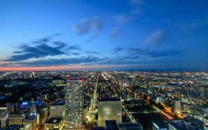 Preview wallpaper city, aerial view, buildings, metropolis, horizon