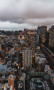 Preview wallpaper city, aerial view, buildings, metropolis, tokyo, japan