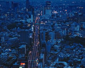 Preview wallpaper city, aerial view, evening, architecture, overview, tokyo, japan