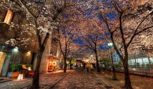 Preview wallpaper city, alley, trees, night, park, hdr