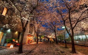 Preview wallpaper city, alley, trees, night, park, hdr