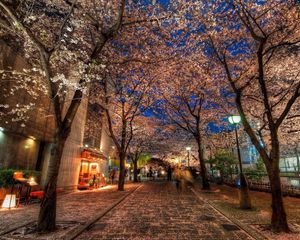 Preview wallpaper city, alley, trees, night, park, hdr