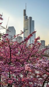Preview wallpaper city, bloom, tree, building