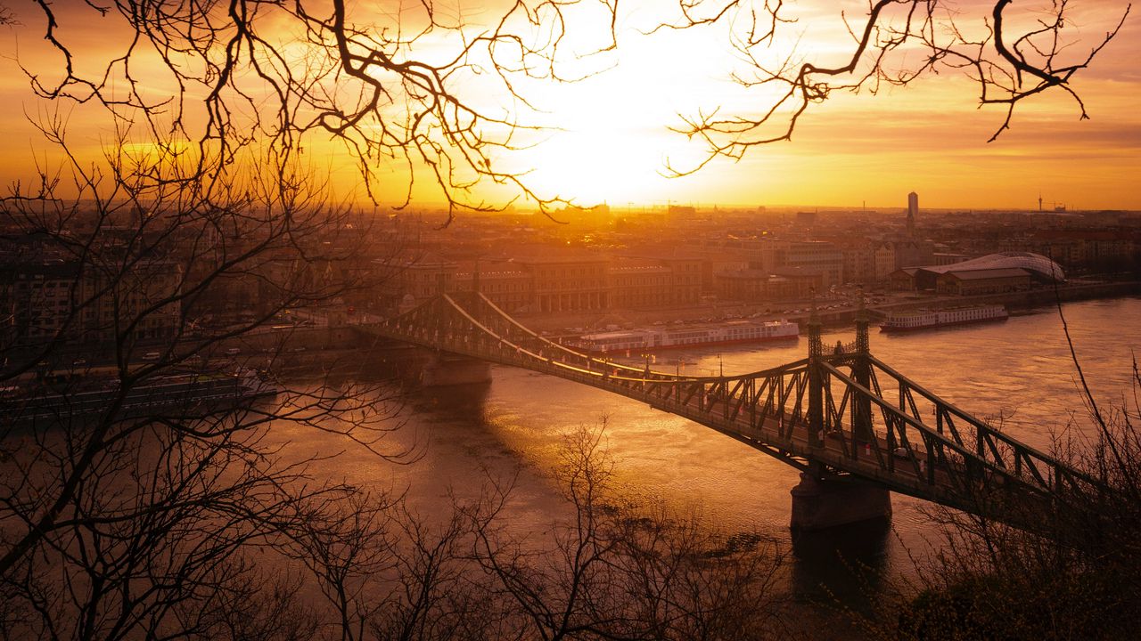 Wallpaper city, bridge, sunset, branches