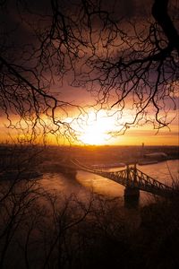 Preview wallpaper city, bridge, sunset, branches