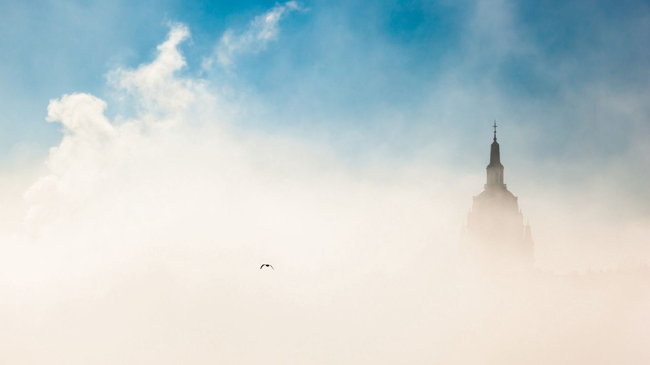 Wallpaper city, budapest, morning, fog, sky, bird