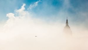Preview wallpaper city, budapest, morning, fog, sky, bird