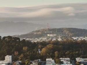 Preview wallpaper city, buildings, aerial view, cityscape, trees