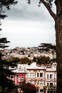 Preview wallpaper city, buildings, aerial view, architecture, branches, trees