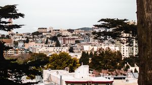 Preview wallpaper city, buildings, aerial view, architecture, branches, trees