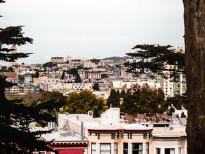 Preview wallpaper city, buildings, aerial view, architecture, branches, trees