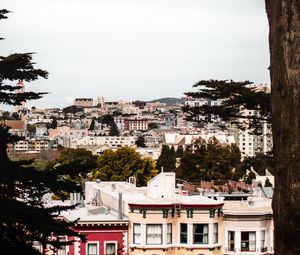 Preview wallpaper city, buildings, aerial view, architecture, branches, trees