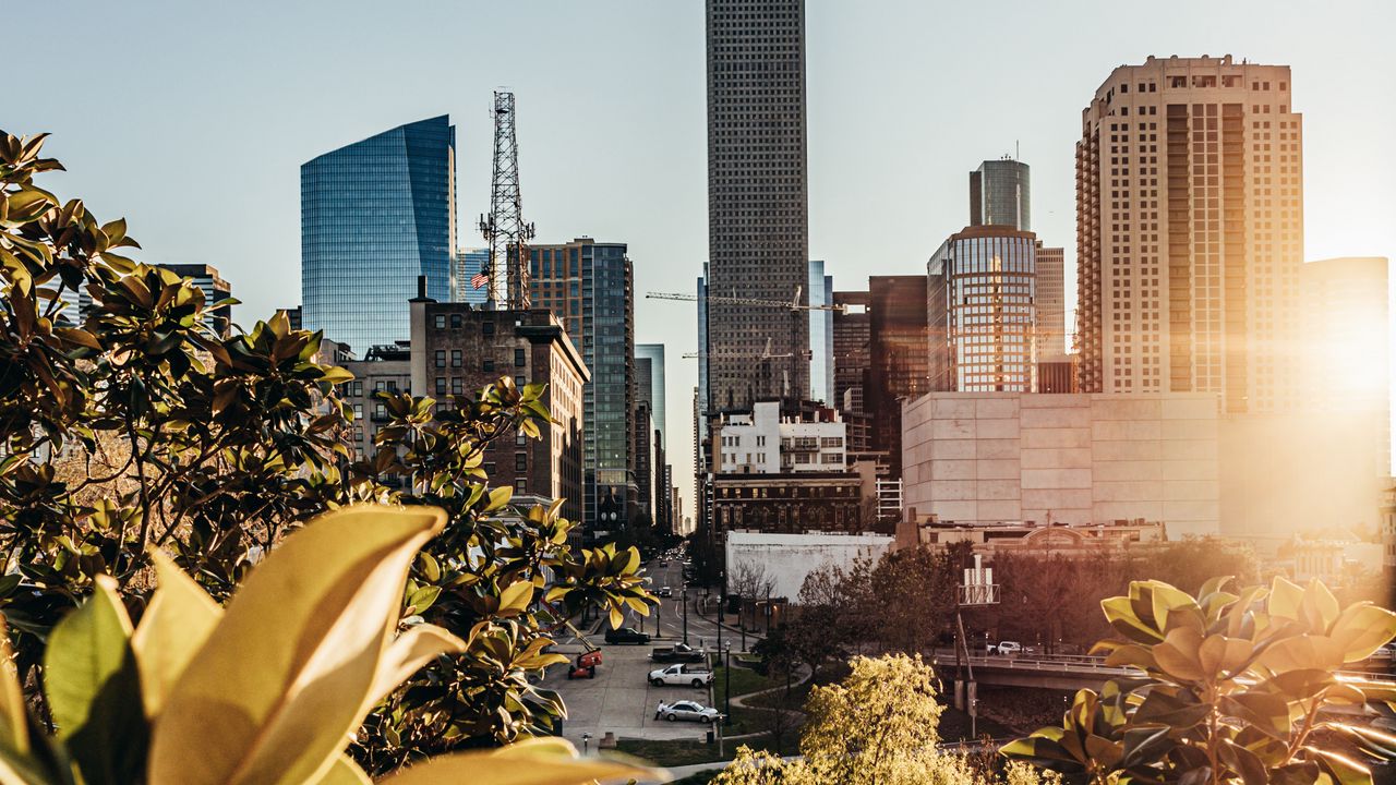 Wallpaper city, buildings, architecture, trees, sunlight