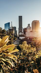Preview wallpaper city, buildings, architecture, trees, sunlight