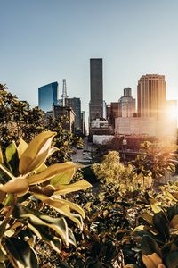 Preview wallpaper city, buildings, architecture, trees, sunlight
