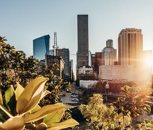 Preview wallpaper city, buildings, architecture, trees, sunlight