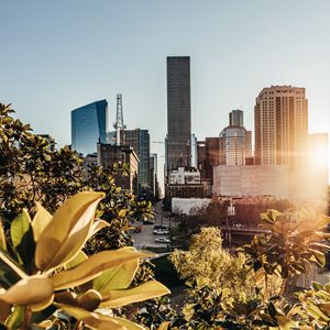 Preview wallpaper city, buildings, architecture, trees, sunlight