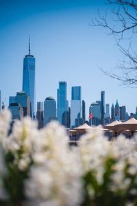 Preview wallpaper city, buildings, architecture, flowers, blur