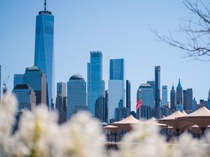 Preview wallpaper city, buildings, architecture, flowers, blur