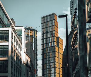 Preview wallpaper city, buildings, architecture, stone jungle