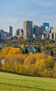 Preview wallpaper city, buildings, architecture, trees