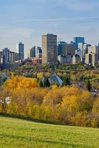Preview wallpaper city, buildings, architecture, trees