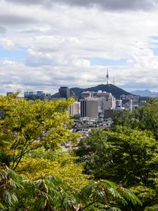 Preview wallpaper city, buildings, architecture, trees, cityscape, aerial view