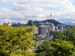 Preview wallpaper city, buildings, architecture, trees, cityscape, aerial view