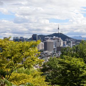 Preview wallpaper city, buildings, architecture, trees, cityscape, aerial view