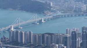Preview wallpaper city, buildings, bridge, water, aerial view