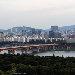 Preview wallpaper city, buildings, bridge, trees, river, aerial view