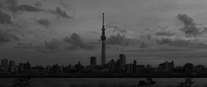 Preview wallpaper city, buildings, bw, tower, architecture, river, panorama