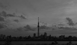 Preview wallpaper city, buildings, bw, tower, architecture, river, panorama
