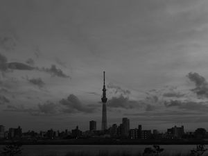 Preview wallpaper city, buildings, bw, tower, architecture, river, panorama