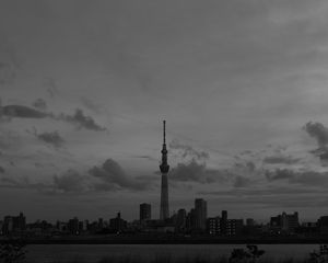 Preview wallpaper city, buildings, bw, tower, architecture, river, panorama