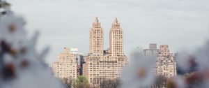 Preview wallpaper city, buildings, cherry, flowers, branches, spring