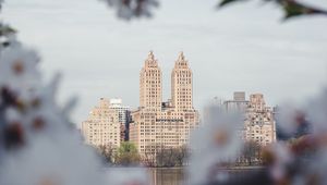 Preview wallpaper city, buildings, cherry, flowers, branches, spring