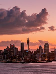 Preview wallpaper city, buildings, coast, auckland, new zealand