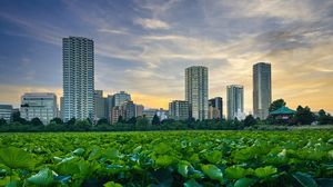 Preview wallpaper city, buildings, field, leaves, twilight