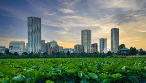 Preview wallpaper city, buildings, field, leaves, twilight