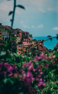 Preview wallpaper city, buildings, flowers, sea, italy