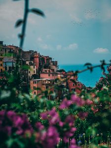 Preview wallpaper city, buildings, flowers, sea, italy