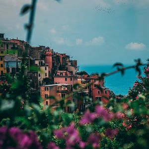 Preview wallpaper city, buildings, flowers, sea, italy